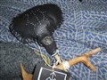 DSCN1646.JPG
