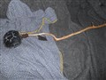 DSCN1648.JPG