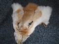 DSCN1649.JPG