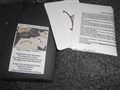 DSCN1657.JPG