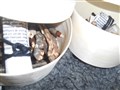 DSCN1673.JPG