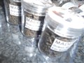 DSCN1679.JPG