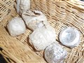 DSCN1688.JPG