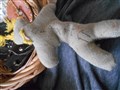 DSCN1727.JPG