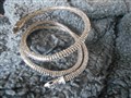 DSCN1738.JPG