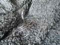 DSCN1740.JPG