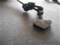 DSCN1768.JPG